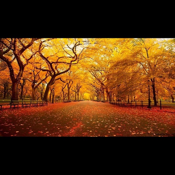 Meet your Posher, Suzy - Picture 5 of 9